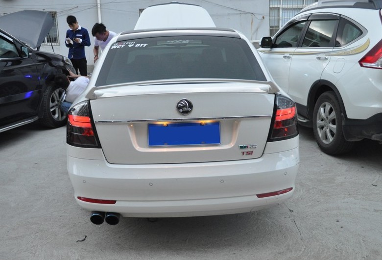 Задні ліхтарі Skoda Octavia 2 A5 тоновані седан LED BAR