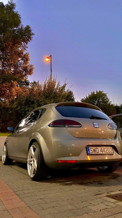 Задні світлодіодні ліхтарі Seat Leon 2 дорестайл red smoke