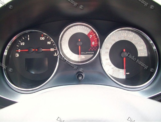 Кільця на прилади Seat Leon II (зовнішн.) (dido)