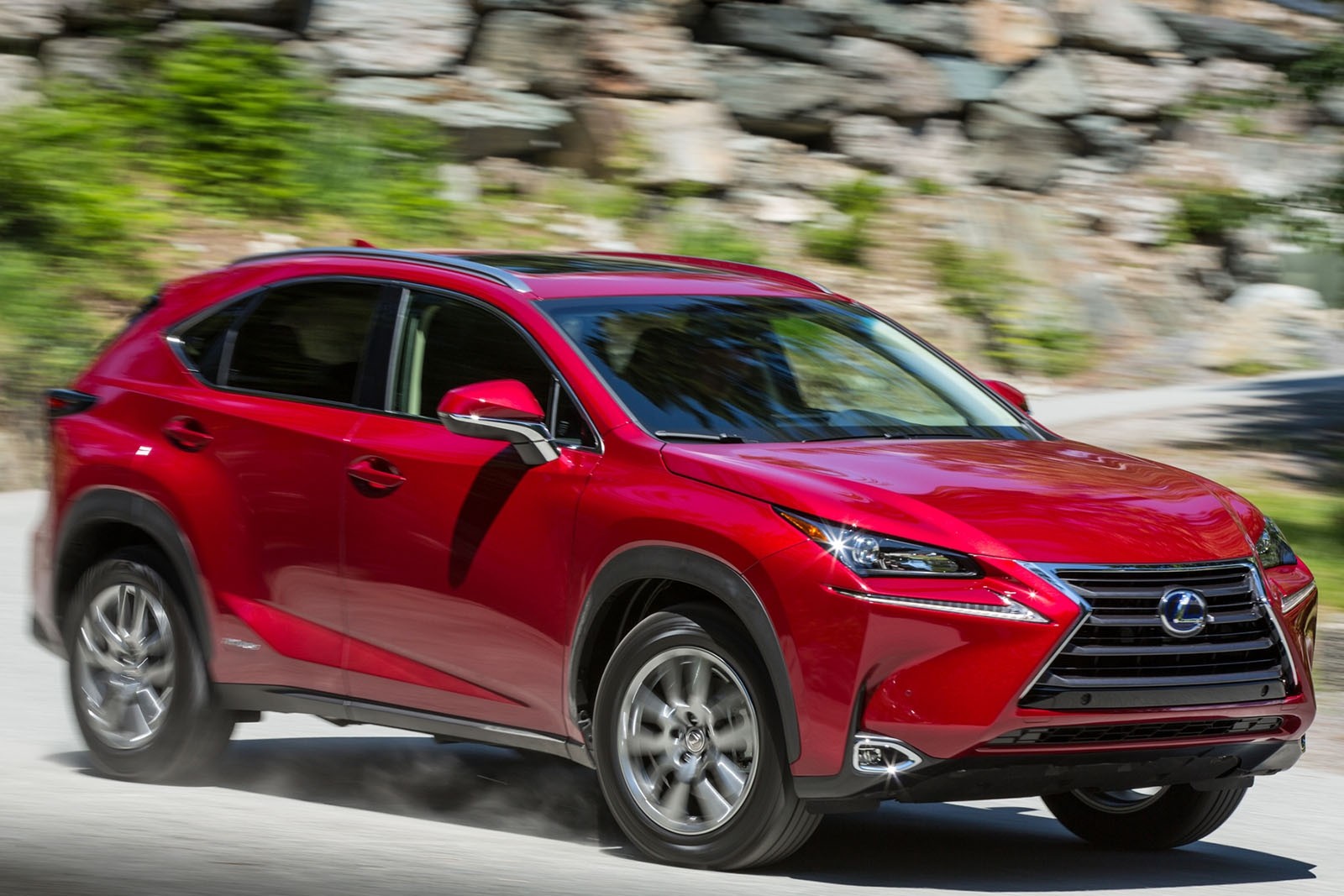 пороги (підніжки бокові) LEXUS NX